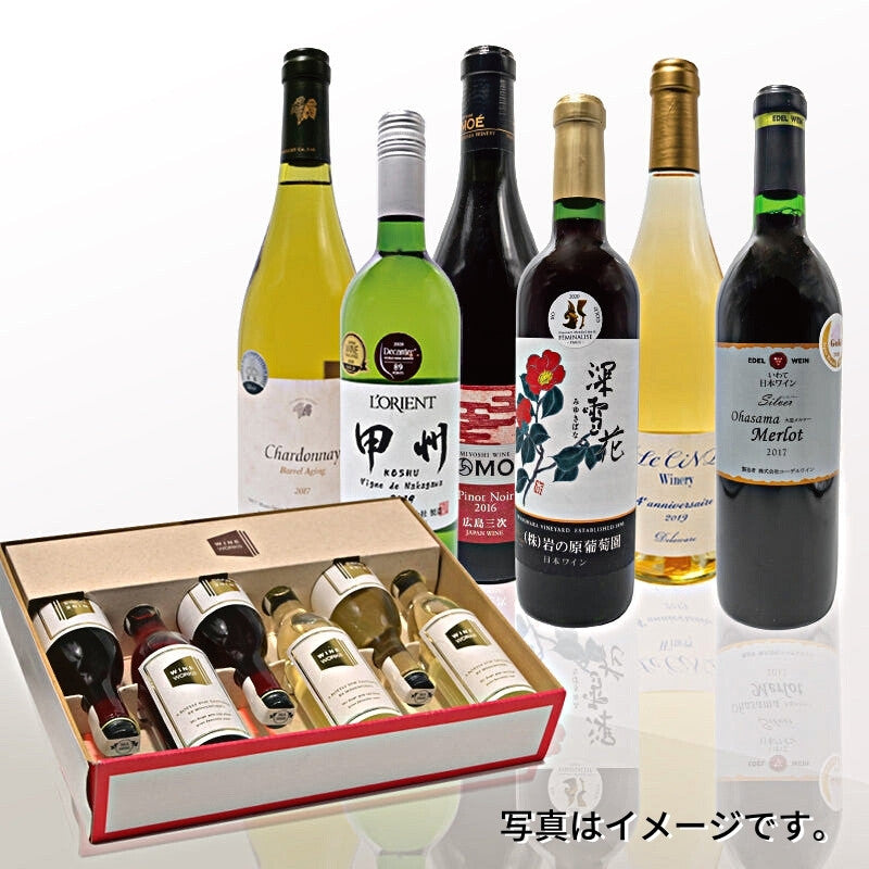 <center>「日本ワインの”いま”を知る」<br>白赤各3本（各100ml）セット</center>