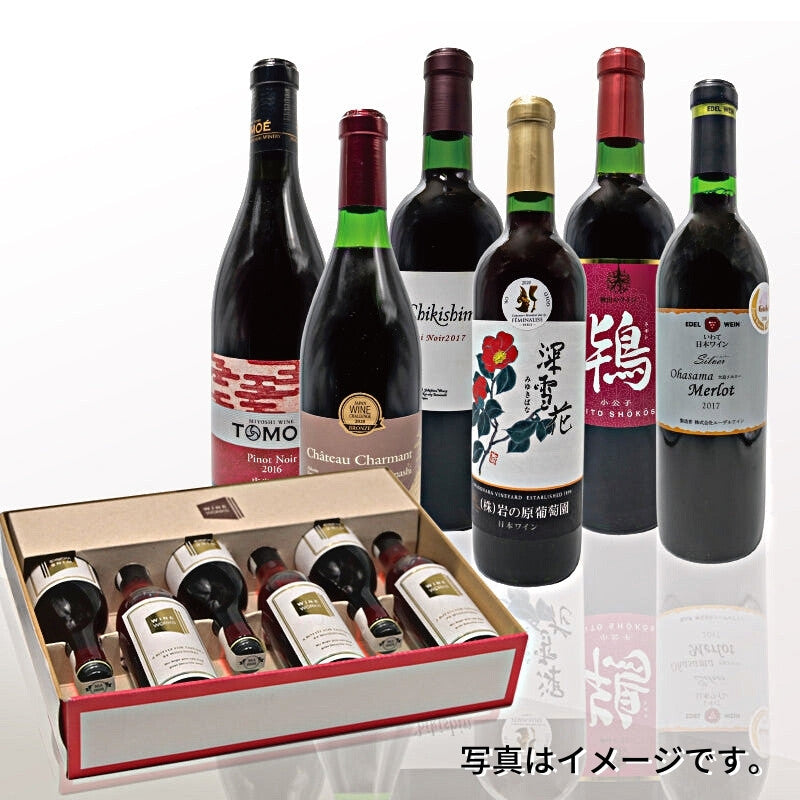 <center>「日本ワインの”いま”を知る」<br>赤6本（各100ml）セット</center>