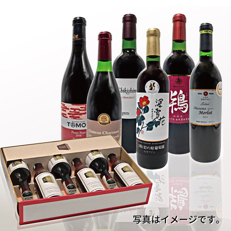 日本ワインの”いま”を知る」赤6本（各100ml）セット – MINIVIN.jp